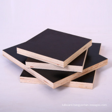 Constructon Plywood/Marine Plywood /Film Faced Plywood